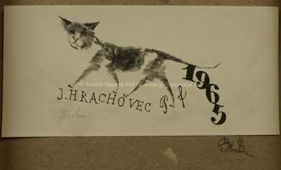  / Jarní větvičky / Jiří Trnka