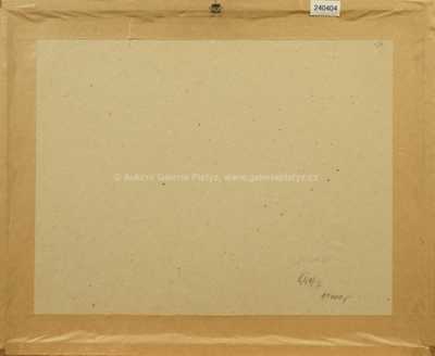  / Závodiště / Kamil Lhoták