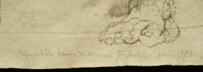  / Bez názvu / Jiří Anderle