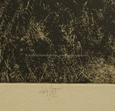  / EVA PRIMA PANDORA / Albín Brunovský