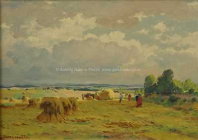  / Na poli / František Daněk - Sedláček