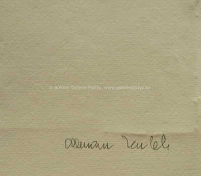  / Torzo vítající ženy / Olbram Zoubek