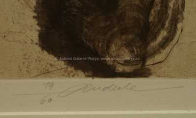  / Bez názvu / Jiří Anderle