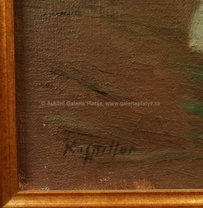  / Dívka v bílých šatech / Karel Špillar