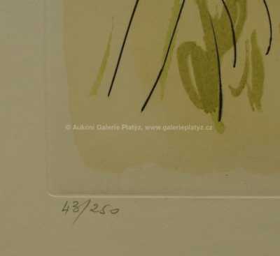  / O jelenovi (LE CERF MALADE) / Salvador Dalí