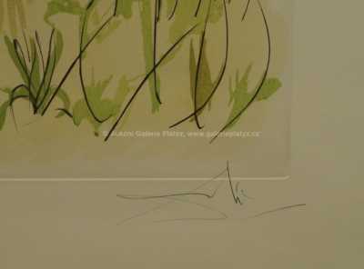  / O jelenovi (LE CERF MALADE) / Salvador Dalí