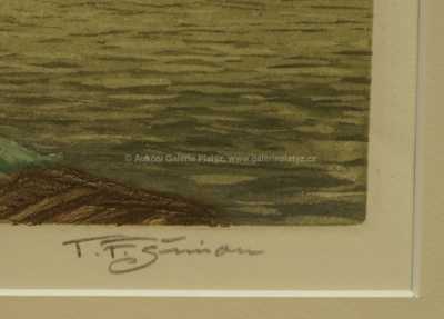  / Pont - Neuf / František Tavík Šimon