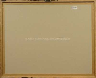  / Pont - Neuf / František Tavík Šimon