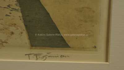  / Nábřeží Zlatníků / František Tavík Šimon