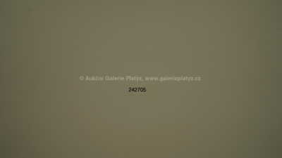  / Nábřeží Zlatníků / František Tavík Šimon