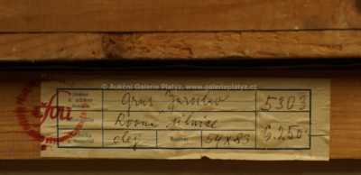  / Rovná silnice / Jaroslav Grus