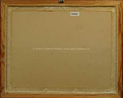  / U vesnice / Vojtěch  Sedláček