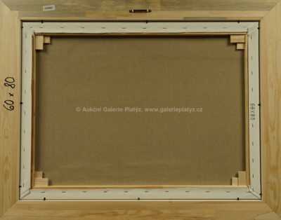  / Sněhomet / František Ringo Čech