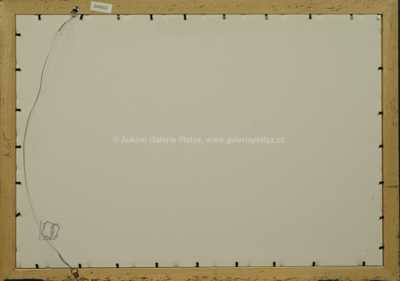  / Alegorie / Josef Liesler