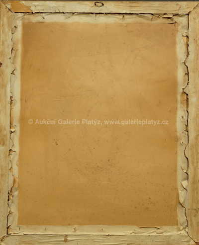  / Dívčí akt /   Autor neurčen