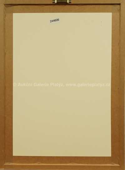  / Odpadlík / Zdeněk Burian