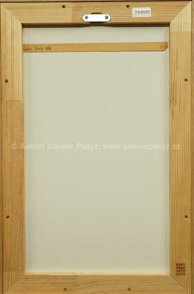  / Ilustrace k románu Žlutá růže / Adolf Born