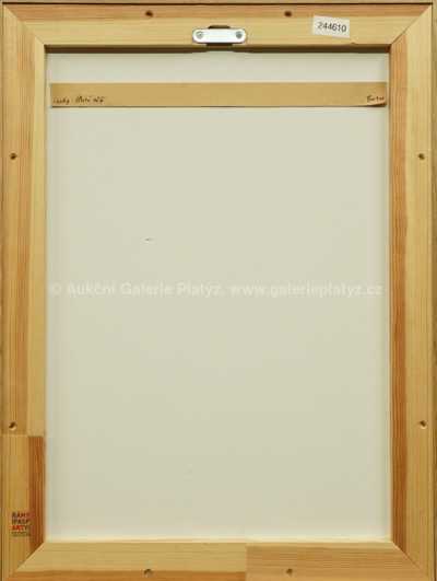  / Ilustrace s letadlem / Adolf Born