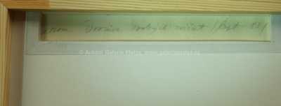  / Drezura drobných zvířat / Adolf Born