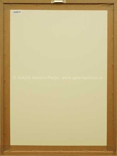  / Studie pravěku / Zdeněk Burian