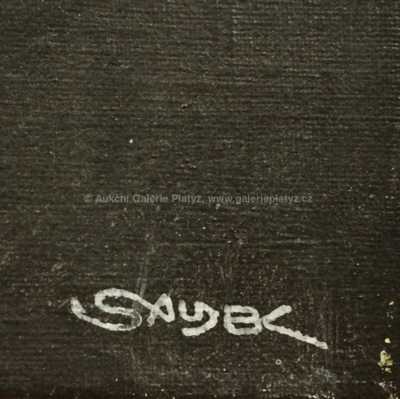  / Při koupeli / Kája Saudek