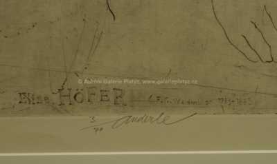  / Elise Höfer / Jiří Anderle
