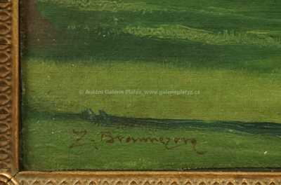  / Na říčce / Zdena Braunerová