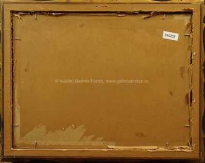  / Na říčce / Zdena Braunerová