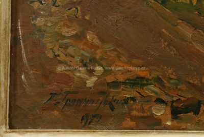  / Pohled na Prahu / Pavel Hromnytzky