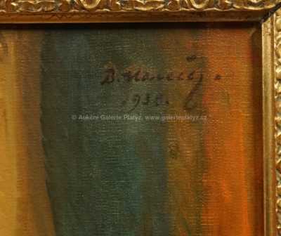  / Dívka před zrcadlem / Bohumil Mareček