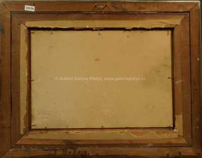  / Zima / Ota Bubeníček