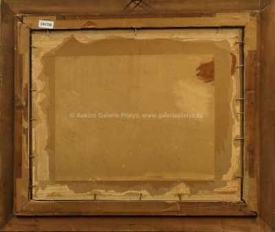  / Před bouří / Jaroslav Panuška