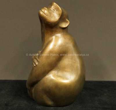  / Opička / Vincenc Vingler