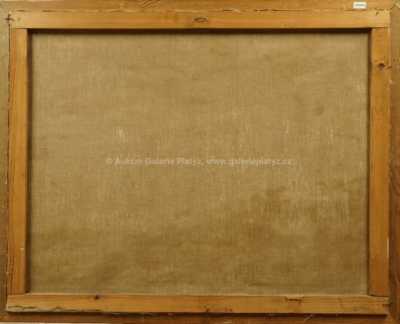  / Zima v horách / Gustav  Porš