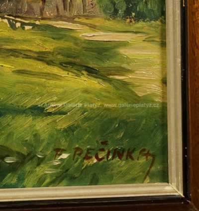  / Staré chaloupky / František Pečínka