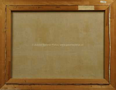  / Sázava u Iváně / Lev Šimák