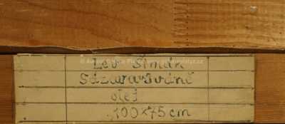  / Sázava u Iváně / Lev Šimák