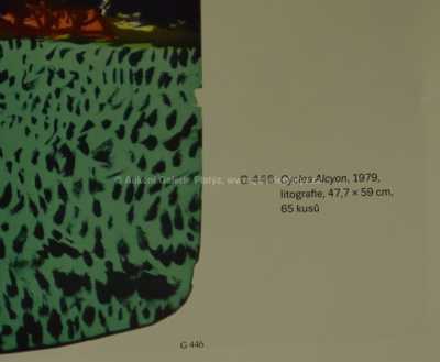  / Cycles Alcyon / Kamil Lhoták