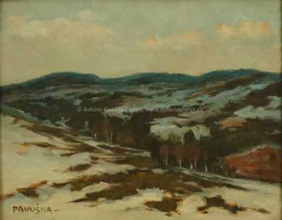  / Zasněžené vršky / Jaroslav Panuška