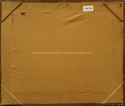  / Zasněžené vršky / Jaroslav Panuška