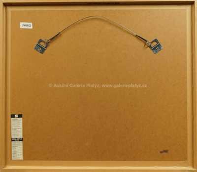  / Bez názvu / Jiří Anderle