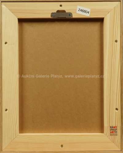  / Vystoupení / Adolf Born