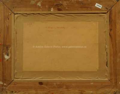  / Vzpomínky / Karel Langer