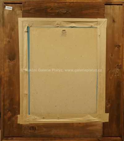  / Dlouholeté zkušenosti / Kája Saudek