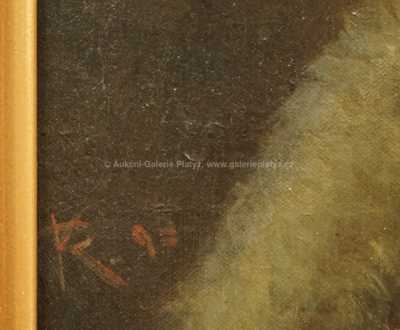  / Podobizna dámy s kožešinou / Karel Rašek