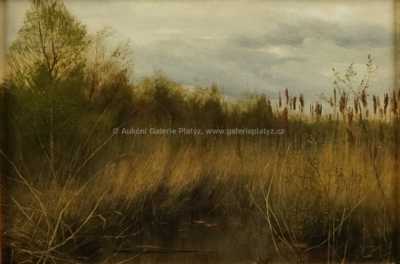  / Močál s rákosím / František Kaván