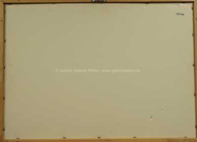  / Hladovějící jezdec / Alfred Kubin