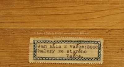  / Chalupy ze starého Važce / Ján Hála