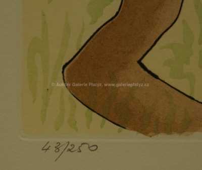  / Le cerf se voyant dans l´eau / Salvador Dalí