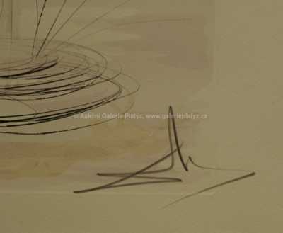  / Le cerf se voyant dans l´eau / Salvador Dalí